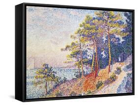 St Tropez, the Custom's Path, 1905-Paul Theodor van Brussel-Framed Stretched Canvas