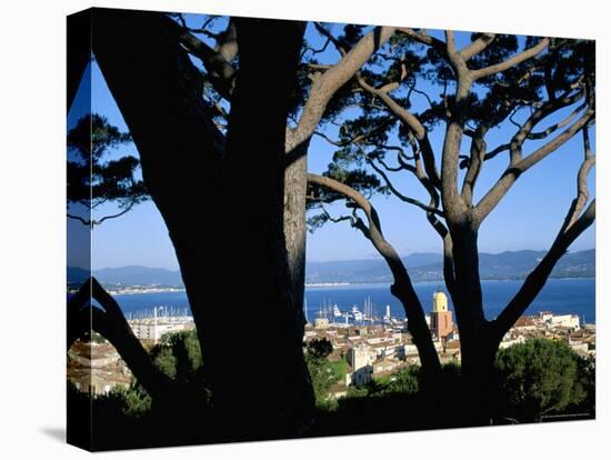 St. Tropez, Var, Cote d'Azur, Provence, French Riviera, France, Mediterranean-Bruno Barbier-Stretched Canvas