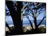 St. Tropez, Var, Cote d'Azur, Provence, French Riviera, France, Mediterranean-Bruno Barbier-Mounted Photographic Print