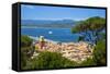 St. Tropez, Var, Provence-Alpes-Cote D'Azur, French Riviera, France-Jon Arnold-Framed Stretched Canvas