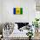 St. Vincent And The Grenadines Flag Design with Wood Patterning - Flags of the World Series-Philippe Hugonnard-Art Print displayed on a wall