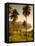 St. Vincent and the Grenadines, St. Vincent, Leeward Coast, Chateaubelair, Elevated Coastal View-Walter Bibikow-Framed Stretched Canvas