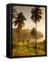 St. Vincent and the Grenadines, St. Vincent, Leeward Coast, Chateaubelair, Elevated Coastal View-Walter Bibikow-Framed Stretched Canvas