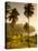 St. Vincent and the Grenadines, St. Vincent, Leeward Coast, Chateaubelair, Elevated Coastal View-Walter Bibikow-Stretched Canvas