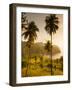 St. Vincent and the Grenadines, St. Vincent, Leeward Coast, Chateaubelair, Elevated Coastal View-Walter Bibikow-Framed Photographic Print