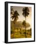St. Vincent and the Grenadines, St. Vincent, Leeward Coast, Chateaubelair, Elevated Coastal View-Walter Bibikow-Framed Photographic Print