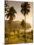 St. Vincent and the Grenadines, St. Vincent, Leeward Coast, Chateaubelair, Elevated Coastal View-Walter Bibikow-Mounted Photographic Print