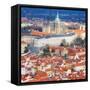 St. Vitus Cathedral from Petrin Observation Tower-Tosh-Framed Stretched Canvas