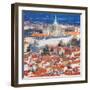 St. Vitus Cathedral from Petrin Observation Tower-Tosh-Framed Art Print