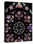 St. Vitus's Cathedral Rose Window, Prague, Czech Republic, Europe-Godong-Stretched Canvas