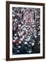 St. Willibrod Procession, Echternach, Luxembourg-null-Framed Photographic Print