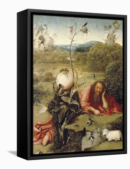 St-Hieronymus Bosch-Framed Stretched Canvas