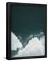 Essential Black