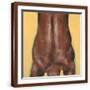 Brown Frame