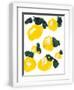 Chelsea White