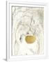 Gramercy White