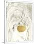 Gramercy White