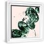 White Frame