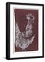 Black Frame