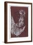 Brown Frame
