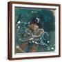 Brown Frame