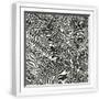White Frame