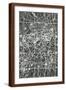Brown Frame