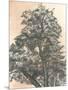 Wood Mount
