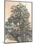 Wood Mount