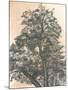 Wood Mount