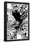 Essential Black