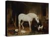 Stable Companions-John Frederick Herring I-Stretched Canvas