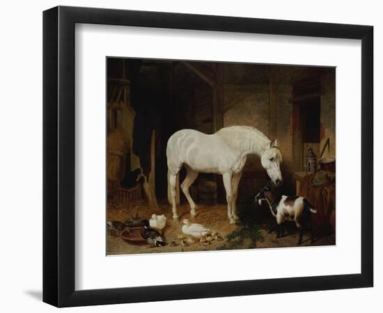 Stable Companions-John Frederick Herring I-Framed Giclee Print