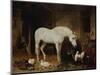 Stable Companions-John Frederick Herring I-Mounted Giclee Print