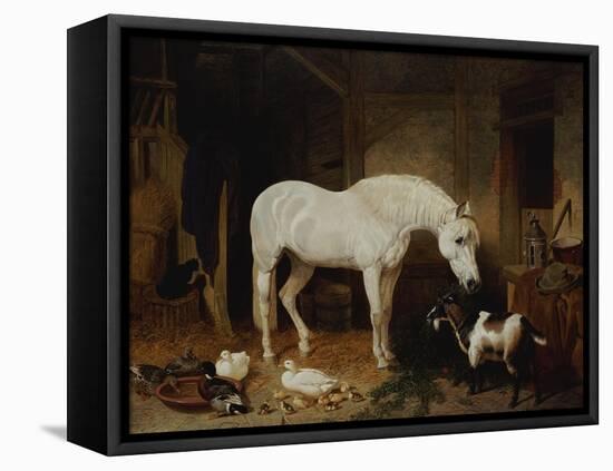 Stable Companions-John Frederick Herring I-Framed Stretched Canvas