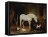 Stable Companions-John Frederick Herring I-Framed Stretched Canvas