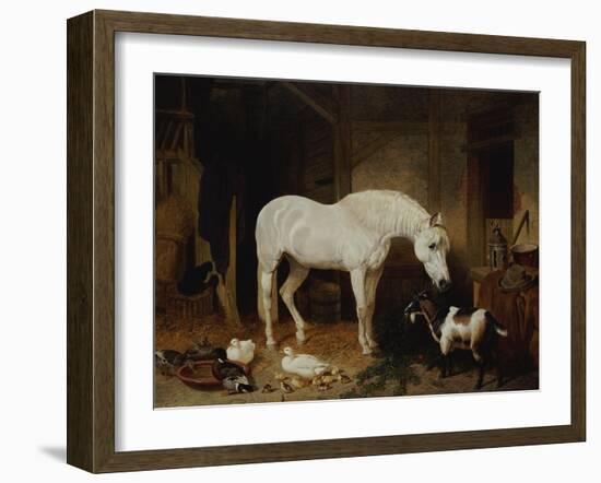 Stable Companions-John Frederick Herring I-Framed Giclee Print