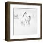 Stable I-Cecil K^-Framed Art Print