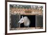 Stable Tramuntana Majorca Spain-null-Framed Premium Giclee Print