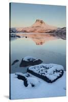 Stac Pollaidh at Dawn with Loch Lurgainn in Foreground, Coigach, Wester Ross, Scotland, UK-Mark Hamblin-Stretched Canvas