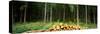 Stack of Firewood in a Forest, Northern Black Forest Region, Baden-Wurttemberg, Germany-null-Stretched Canvas