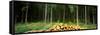 Stack of Firewood in a Forest, Northern Black Forest Region, Baden-Wurttemberg, Germany-null-Framed Stretched Canvas