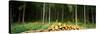 Stack of Firewood in a Forest, Northern Black Forest Region, Baden-Wurttemberg, Germany-null-Stretched Canvas