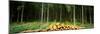 Stack of Firewood in a Forest, Northern Black Forest Region, Baden-Wurttemberg, Germany-null-Mounted Photographic Print