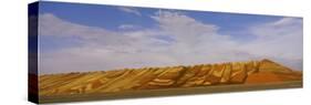 Stack of Maize Crops on a Field, Alma, Harlan County, Nebraska, USA-null-Stretched Canvas