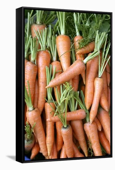 Stack of Orange Carrots-Bjorn Svensson-Framed Stretched Canvas