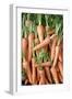 Stack of Orange Carrots-Bjorn Svensson-Framed Photographic Print