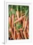 Stack of Orange Carrots-Bjorn Svensson-Framed Photographic Print