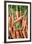 Stack of Orange Carrots-Bjorn Svensson-Framed Photographic Print