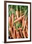 Stack of Orange Carrots-Bjorn Svensson-Framed Photographic Print